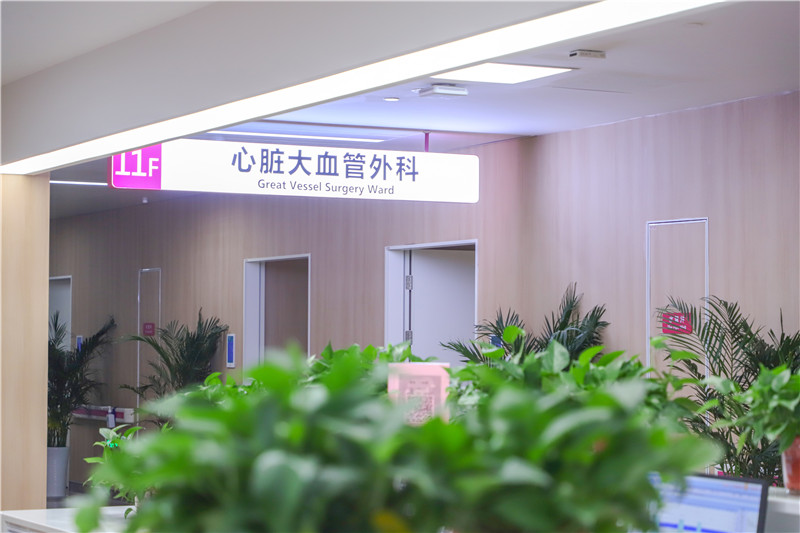 心血管病醫院 