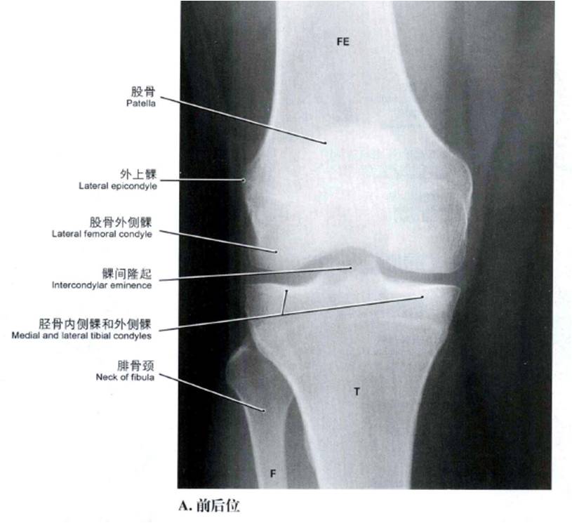 圖片1.jpg