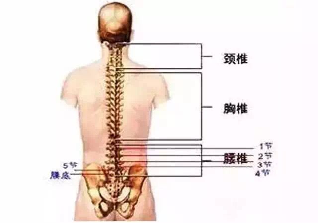 1535637039326654.png A13C27A9E67590DEA959B2BF3BEF5043.png