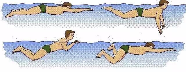 1535637176721083.jpg QQ圖片20180830214551.jpg