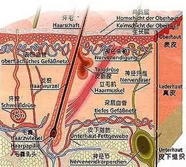 1536159210830513.jpg QQ圖片20180905193202.jpg