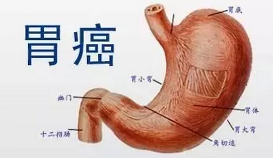 圖片3.png
