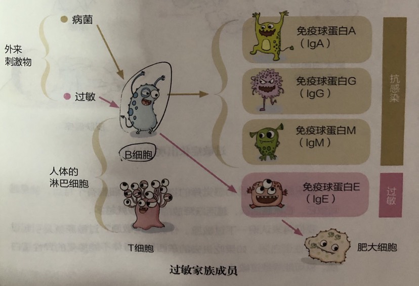 過敏2.jpg