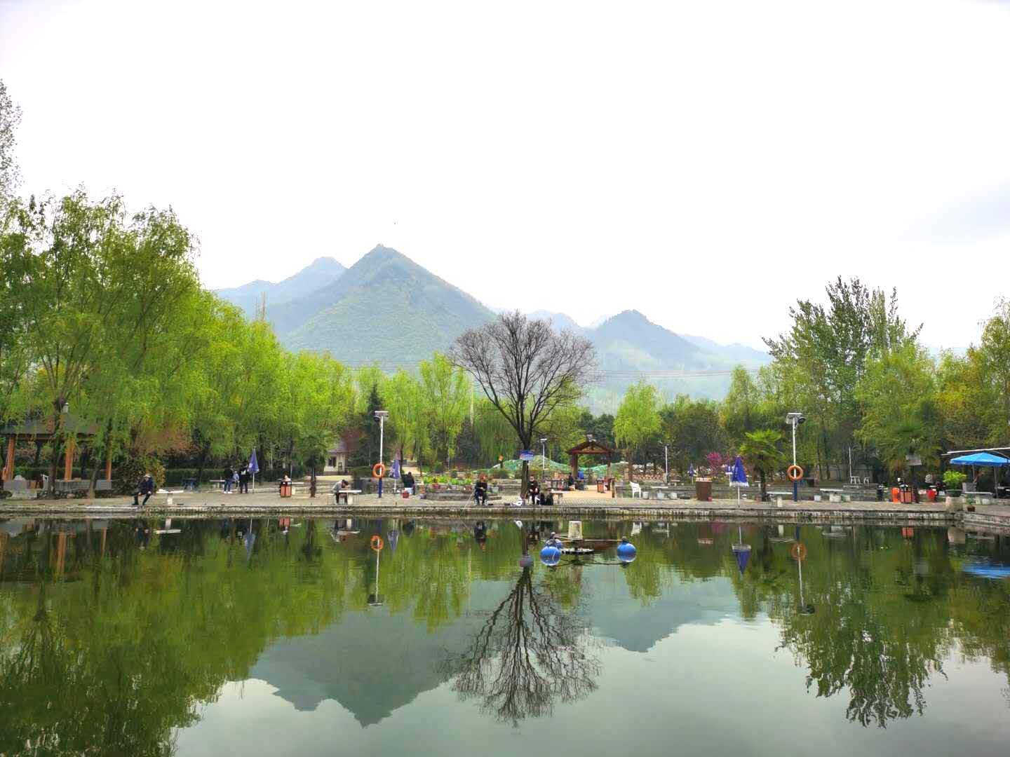 20200402清明.jpg