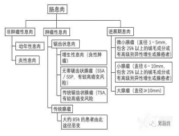 腸鏡病理報告怎么看